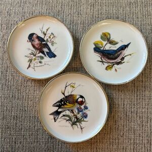 Vintage AK Kaiser West Germany Porzellan painted bird mini 3 plate set